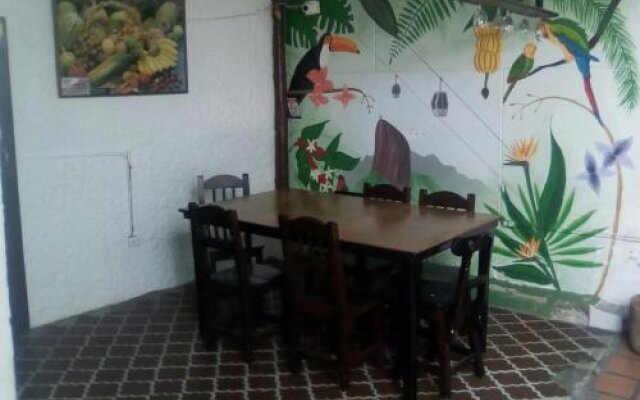 Palm Tree Hostal Medellin - Hostel