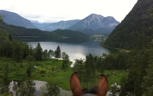 Reitbauernhof Schartner