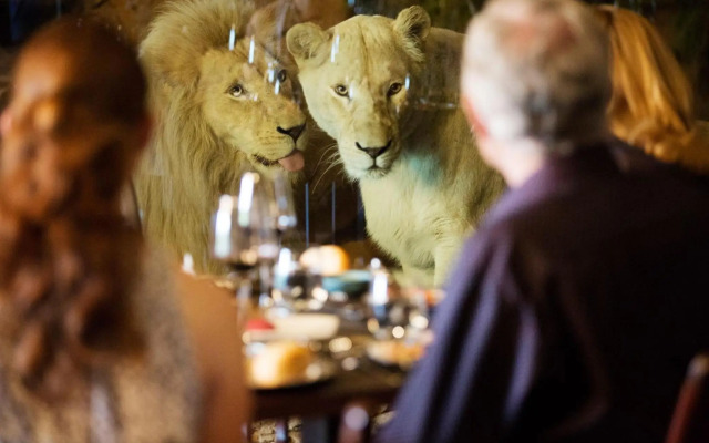 Jamala Wildlife Lodge