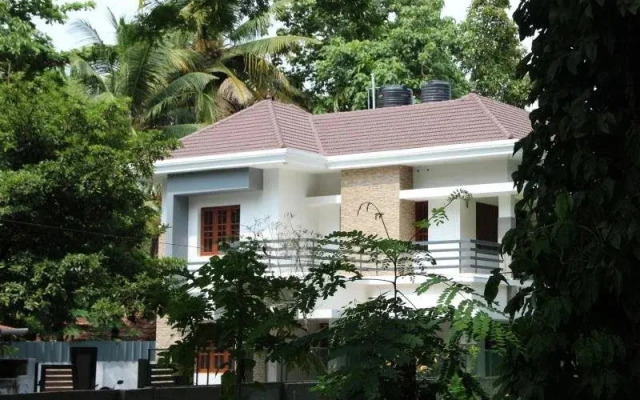 Rain Tree