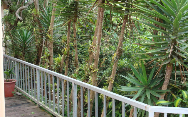 Hotel Las Orquideas