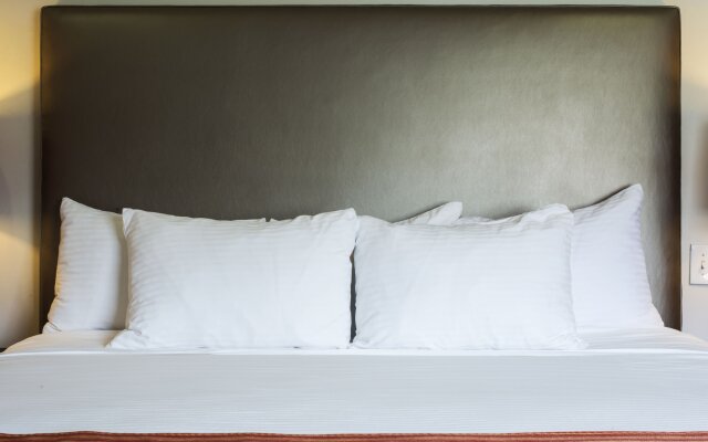 Shelter Hotel