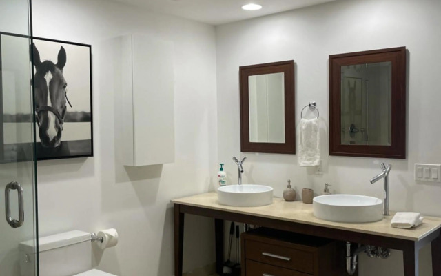 Icon Brickell Miami T-3