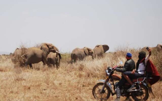 Kimana Amboseli Camp