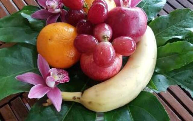 Quinta das Orquídeas