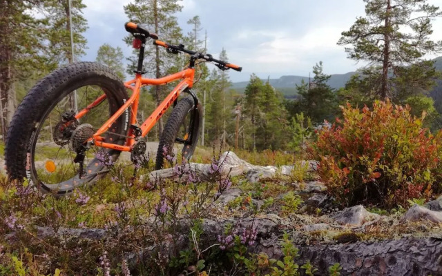 Ruka Safaris - Papin Talo