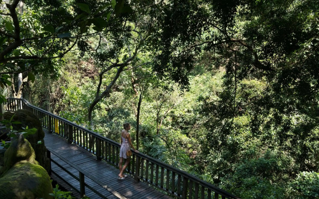 Adiwana Monkey Forest