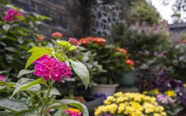 Changzhou Lihua Xiaoyuan Inn