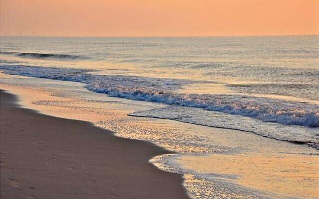 Carolina Dunes - 403