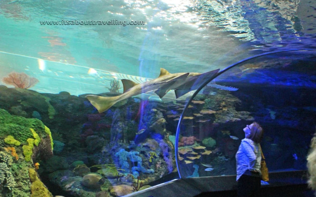 Breakers Sailfish Condos by Hosteeva