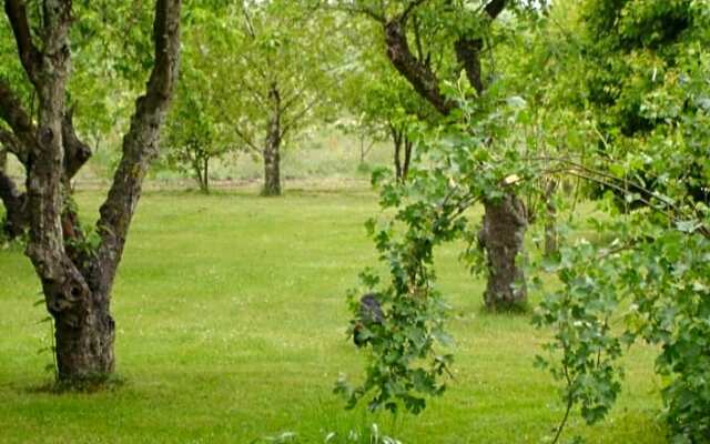 Moen Oekologisk Bed & Breakfast