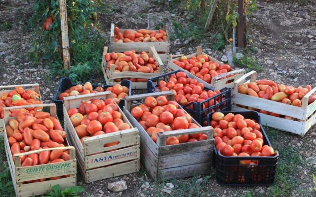 Fattoria La Tana della Volpe