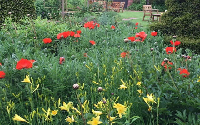 Château de Montreuil