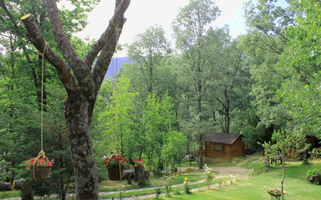 Cabañas de madera Sanabria