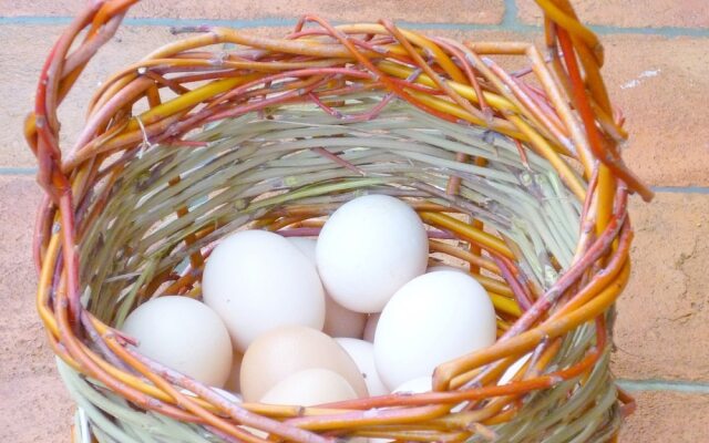 Modern Holiday Home in Rosignano Marittimo Near Forest