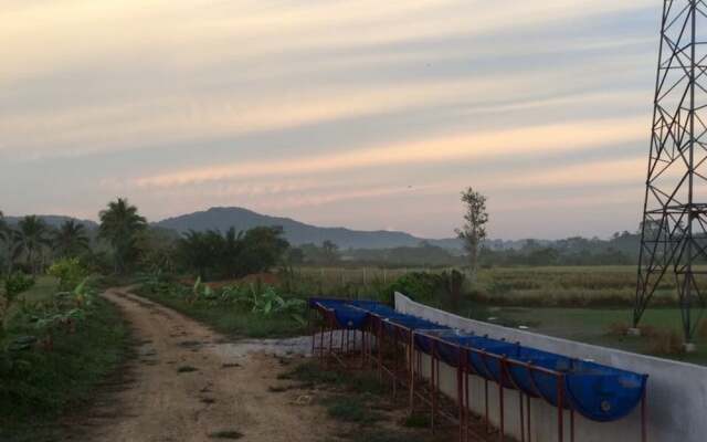 Wichuda Fishing Park & Homestay