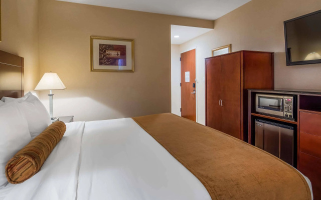 Best Western Plus Arena Hotel