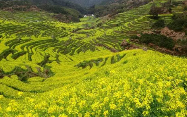 Huangling Impression Boutique Hostel