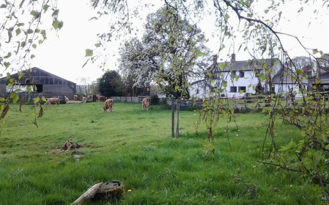 Thorps Farm Bed and Breakfast