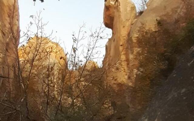 Dirilis Banarya Pansiyon