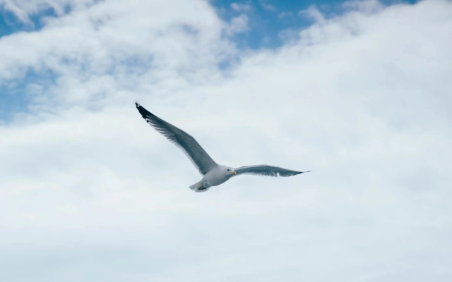 Mala Villa- heated pool since April 10th