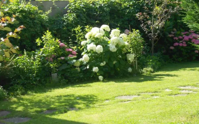 Chambre dHotes Elena