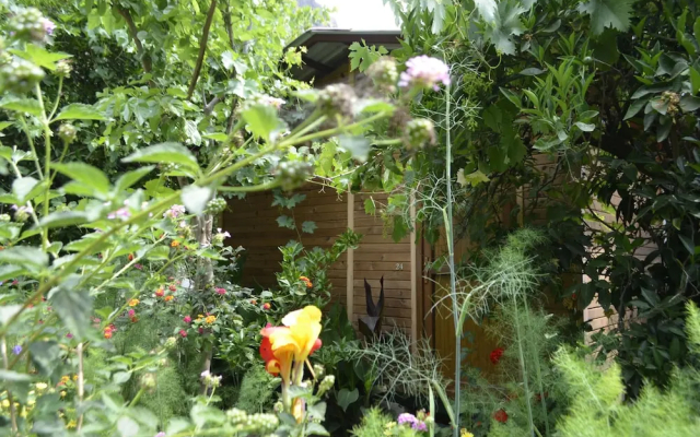 Olympos Mercan Bungalow