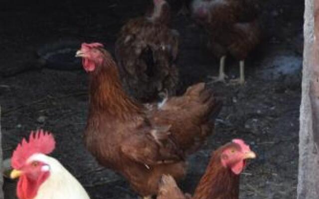 Agriturismo La Querce