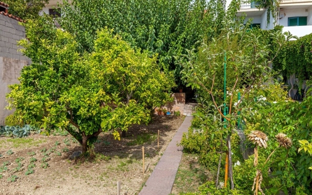 Holiday house Zeljka - 60 m from sea: Podstrana, Riviera Split