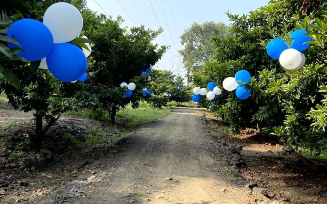 Mango Tree Farm