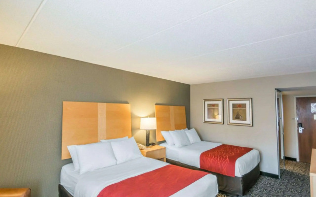 Comfort Inn - NYS Fairgrounds