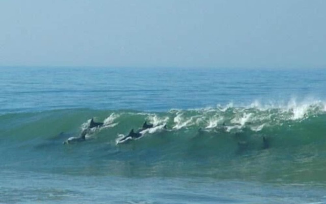 Breeze Inn Bed and Breakfast