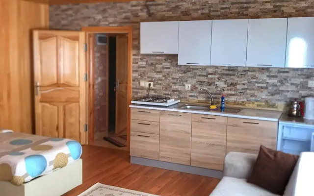 Uzungol Karester Villa Apart