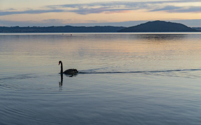 Silver Fern Rotorua Suites & Spa