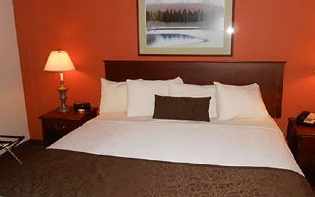 AmericInn Hotel & Suites Mounds View