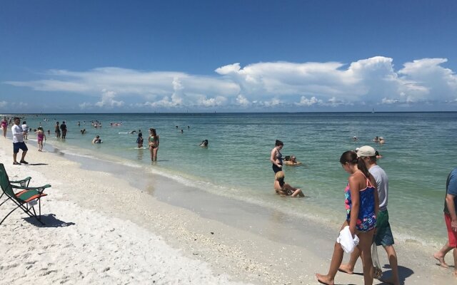 Seagrape