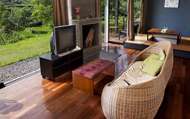 Tea Garden Resort