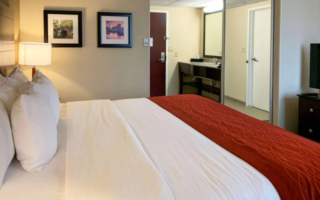 Comfort Inn & Suites East Hartford - Hartford