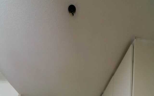 NIDA Rooms Fibs Montana