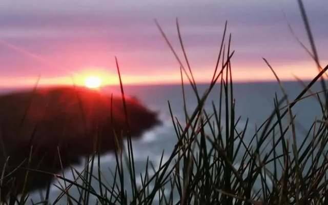 Cosy Shepherds Hut nr Kynance Cove