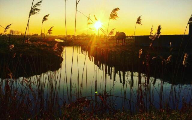 Appartement Saint-Jean-de-Monts, 1 pièce, 4 personnes - FR-1-323-30