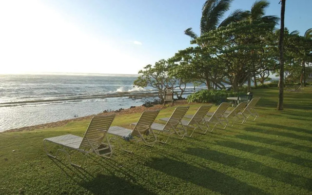 Kapaa Shore 117 by RedAwning