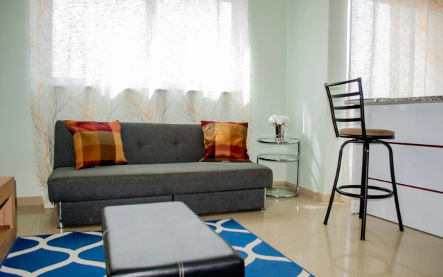 Comfortable cozy apartment