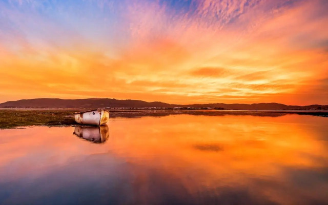 63 Milkwood