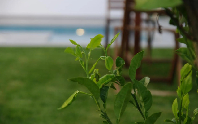 Chalet Deluxe Wifi Gratis