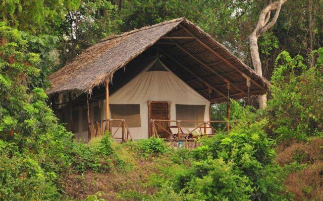 Selous Kulinda Camp