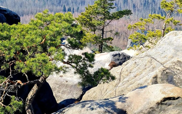 Villa Nevada - Adults only