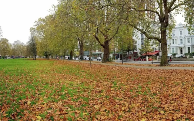 Lovely Designer 1 Bedroom Shepherd's Bush 7 min to Tube