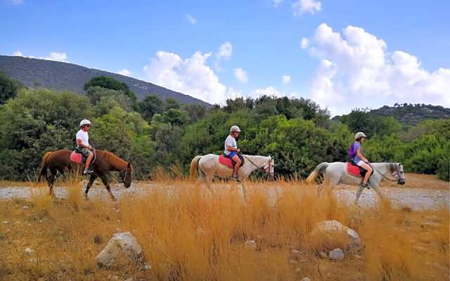 Patara Caretta Hotel