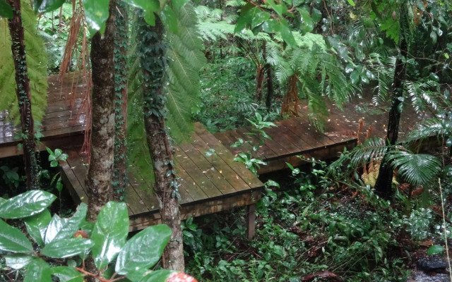 Treetops Accommodation Montville